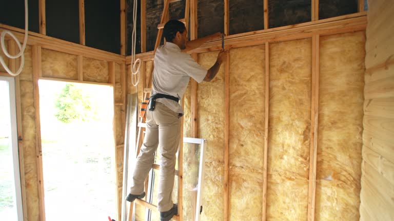 Best Fireproof Insulation  in Hampton, IL