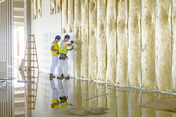 Best Pipe and Duct Insulation  in Hampton, IL